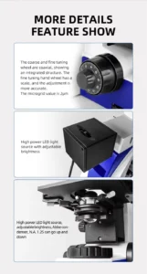 Fluorescence microscope focus & LED light details