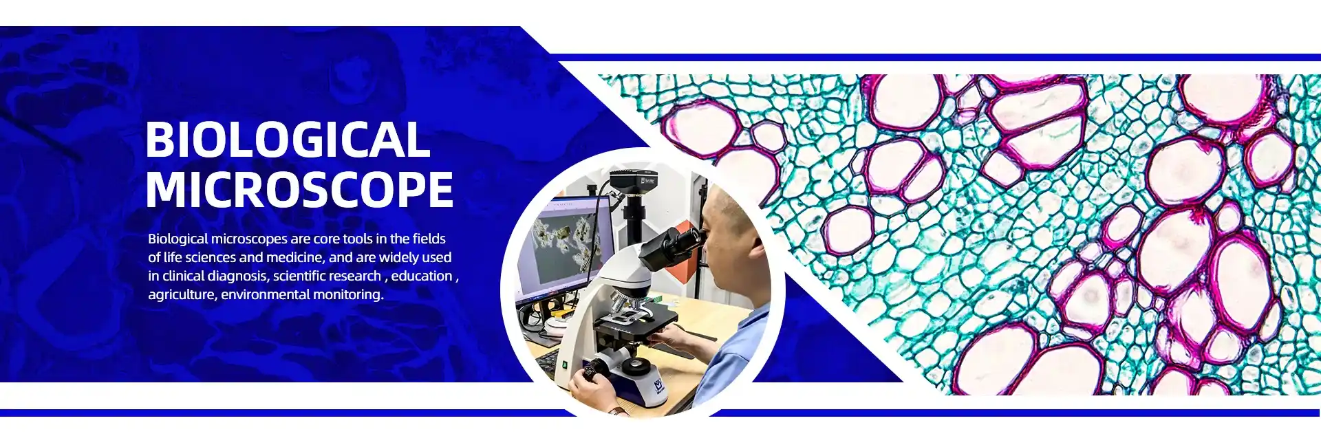Murzider biological microscope for laboratory research and education use