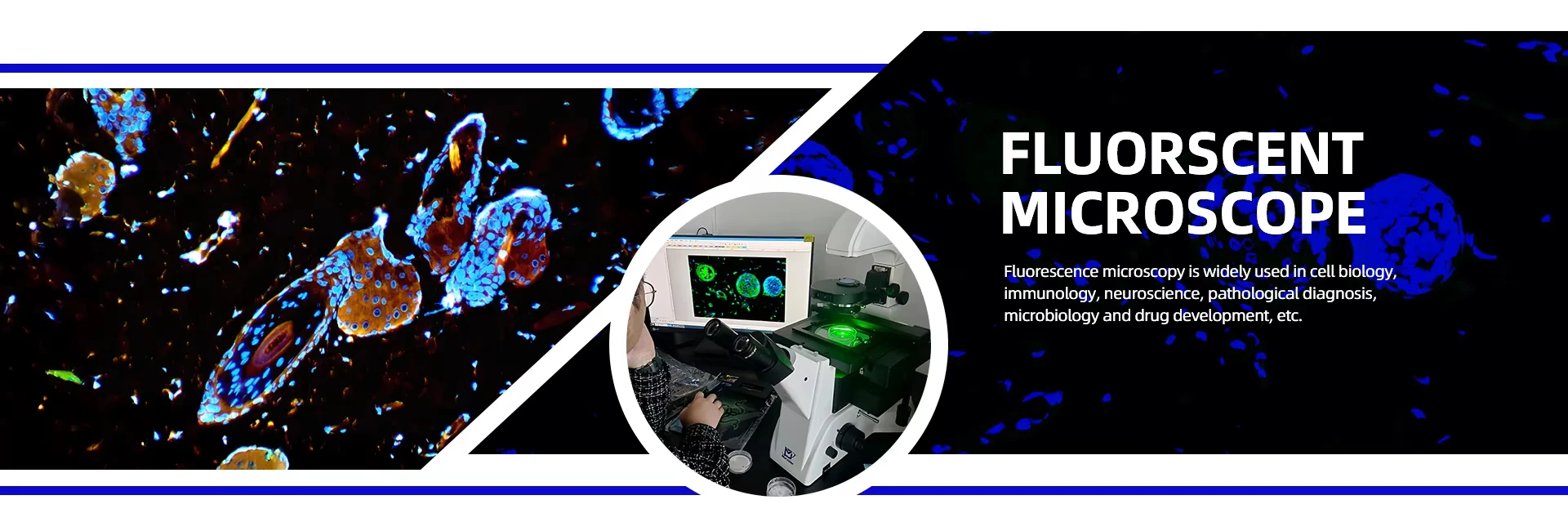 Murzider Fluorescence Microscope banner showcasing high-performance microscopes for scientific research and laboratory applications