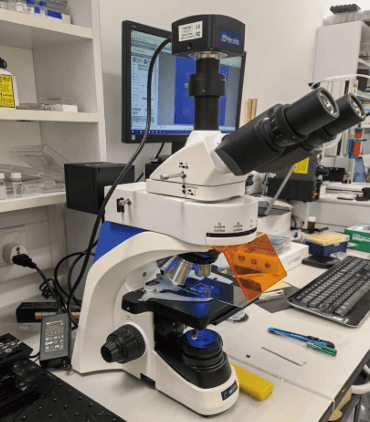 Murzider MSD520 fluorescence & polarized microscope custom for HKUST with M600D camera