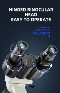 Hinged binocular head of trinocular biological microscope with adjustable pupil distance 55-75mm