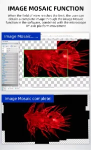 Infinity optical fluorescence microscope for biological laboratory imaging