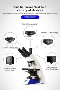 Objective lens detail of trinocular microscope