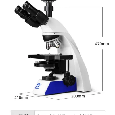 Main-02 MSD-S732-2000 microscope dimensions and structure