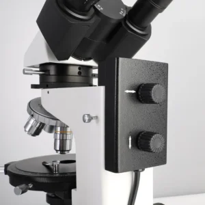 Polarizing microscope detail