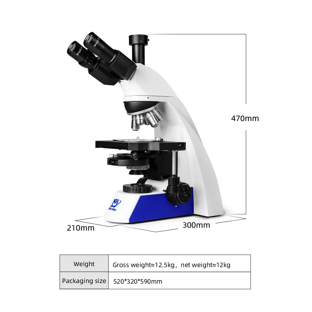MSD-S732 upright phase microscope size dimensions