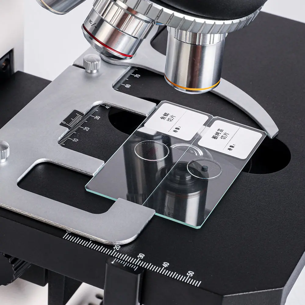 msd-s750-1000-camera-connection Trinocular eyepiece of MSD-S750-1000 biological microscope