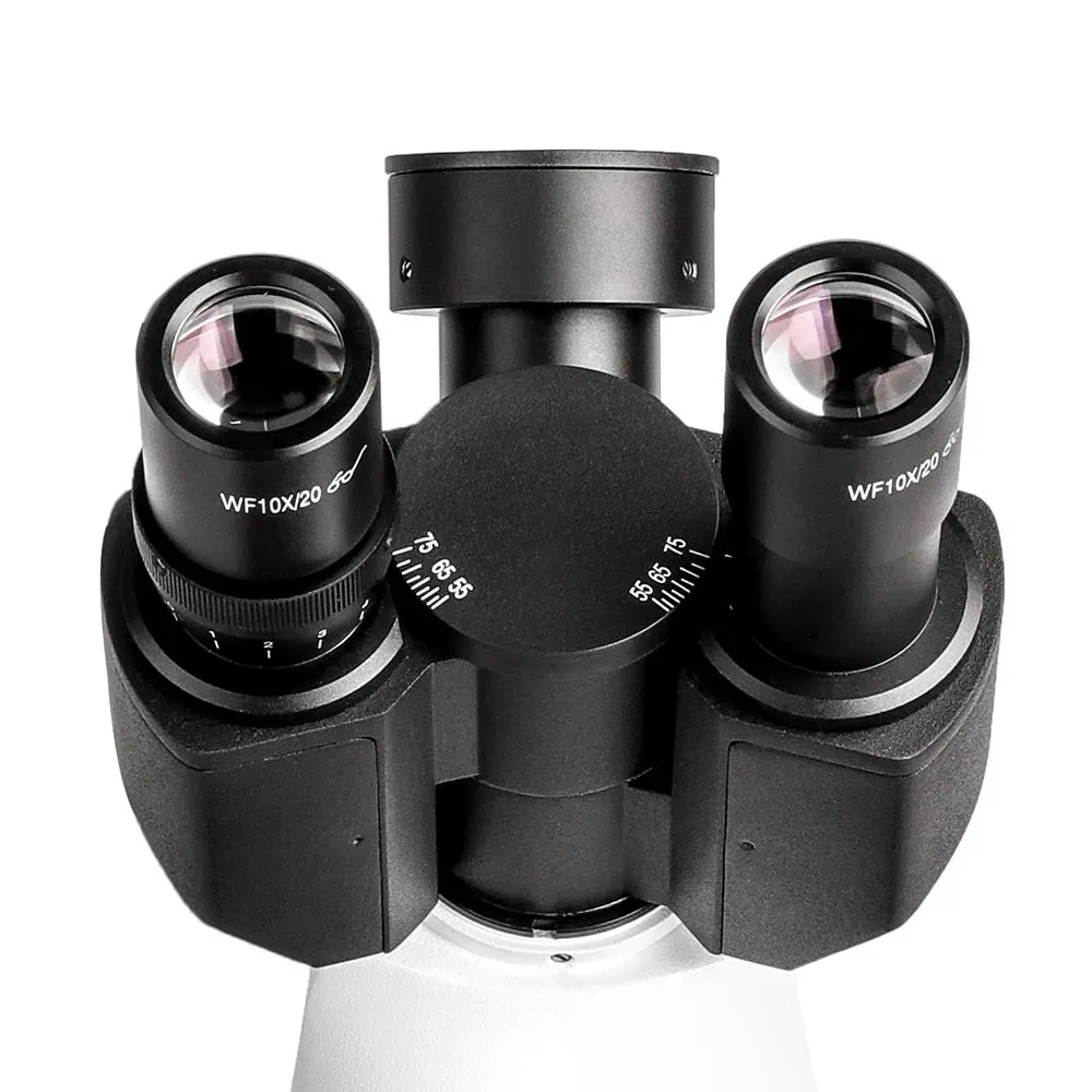 msd-s750-1000-live-display Mechanical stage with slide holder for MSD-S750-1000 microscope
