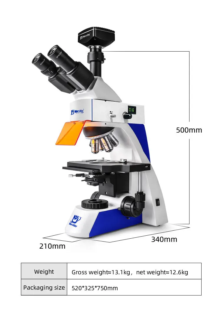 msd-s810-830-fluorescence-microscope-dimensions Dimensions of MSD-S810-830 fluorescence microscope with camera system