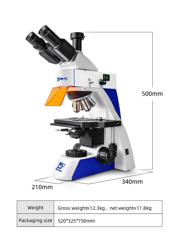 Dimensions of MSD-S810 two band fluorescence microscope