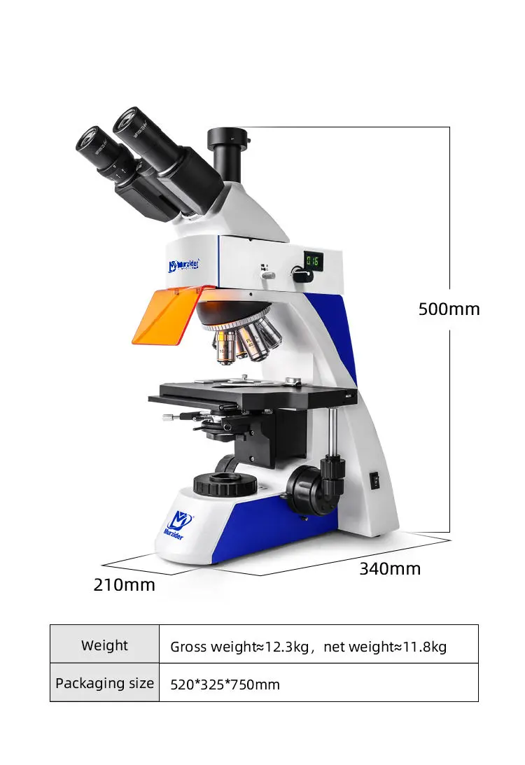 Dimensions of MSD-S820-830 fluorescence microscope