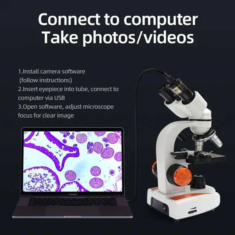 Educational biological microscope for cell and bacteria study