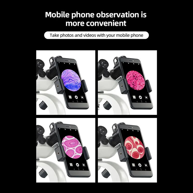 msd002-cell-bacteria-viewing-microscope Student biological microscope for cell and bacteria viewing