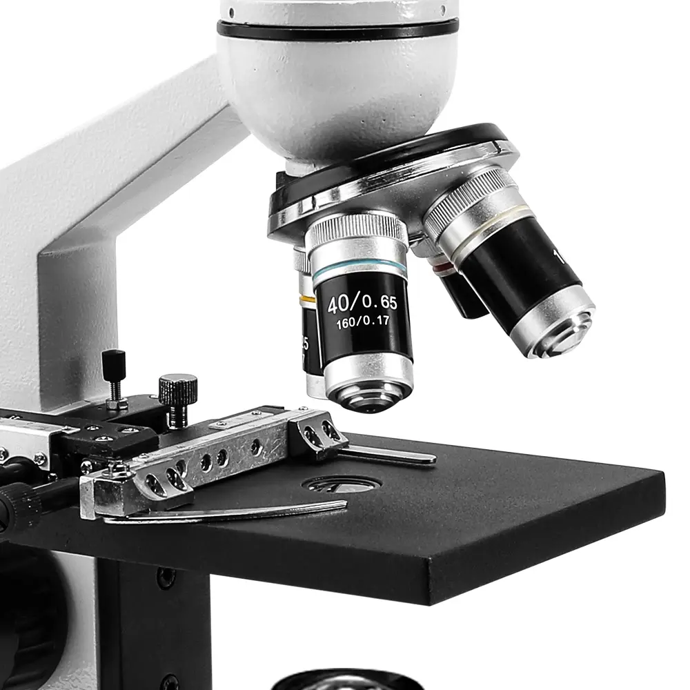 Classroom observation microscope binocular viewing head