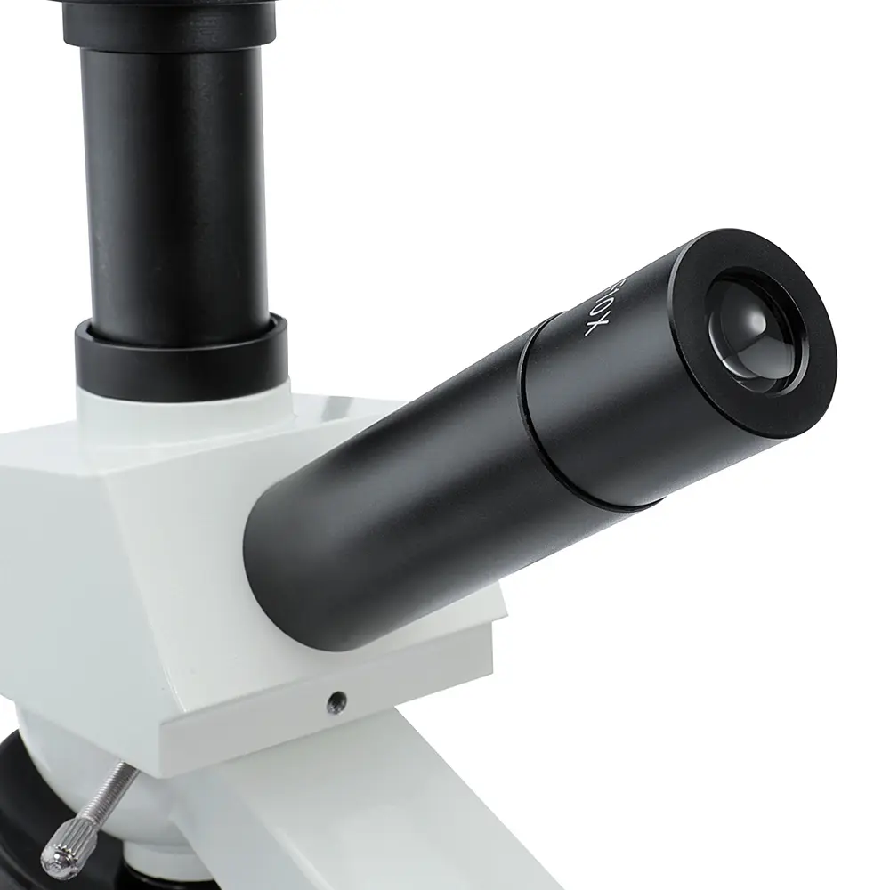 msd101-q-7c-integrated-microscope-detail-1 MSD101 integrated biological microscope detailed view