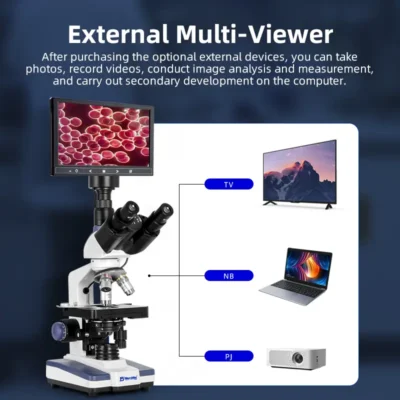 msd1012-dark-field-microscope-result-3 dark field blood observation imaging detail