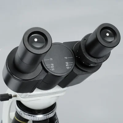 msd105-b-binocular-microscope-head-detail MSD105-B binocular microscope head detail