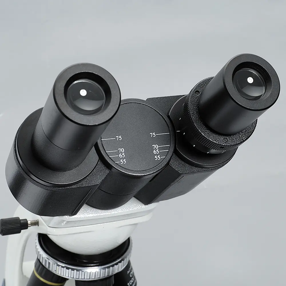 msd105-b-binocular-microscope-head-detail MSD105-B binocular microscope head detail