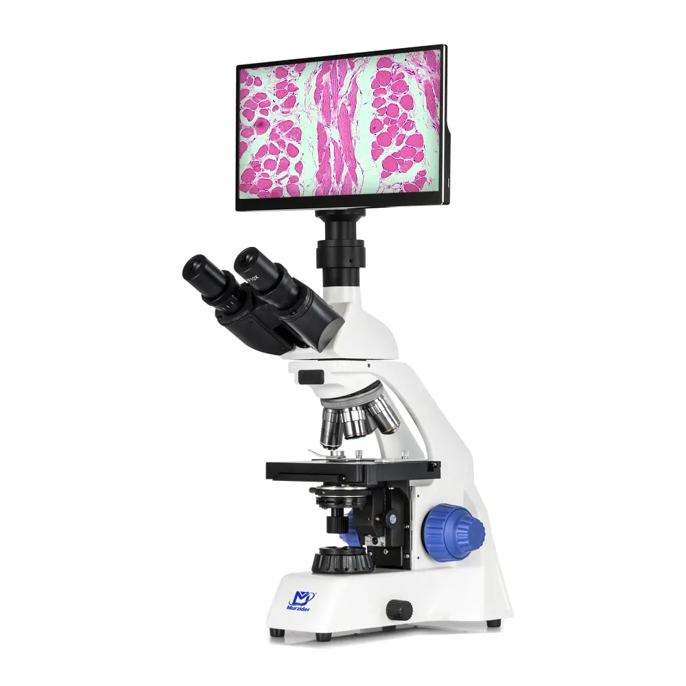 MSD1125 trinocular microscope with 11.6-inch integrated display front view