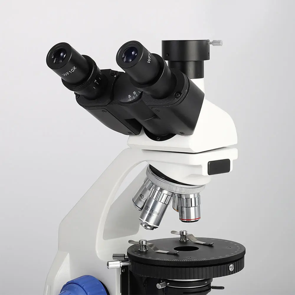 Focus adjustment detail transmitted light microscope MSD1125BP-1000
