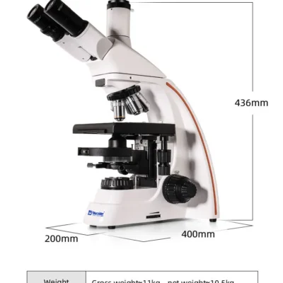 MSD3232 biological phase microscope dimensions