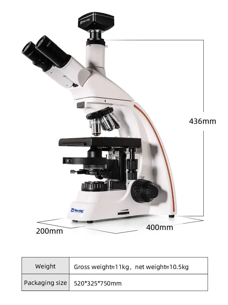 MSD3232 biological phase microscope dimensions