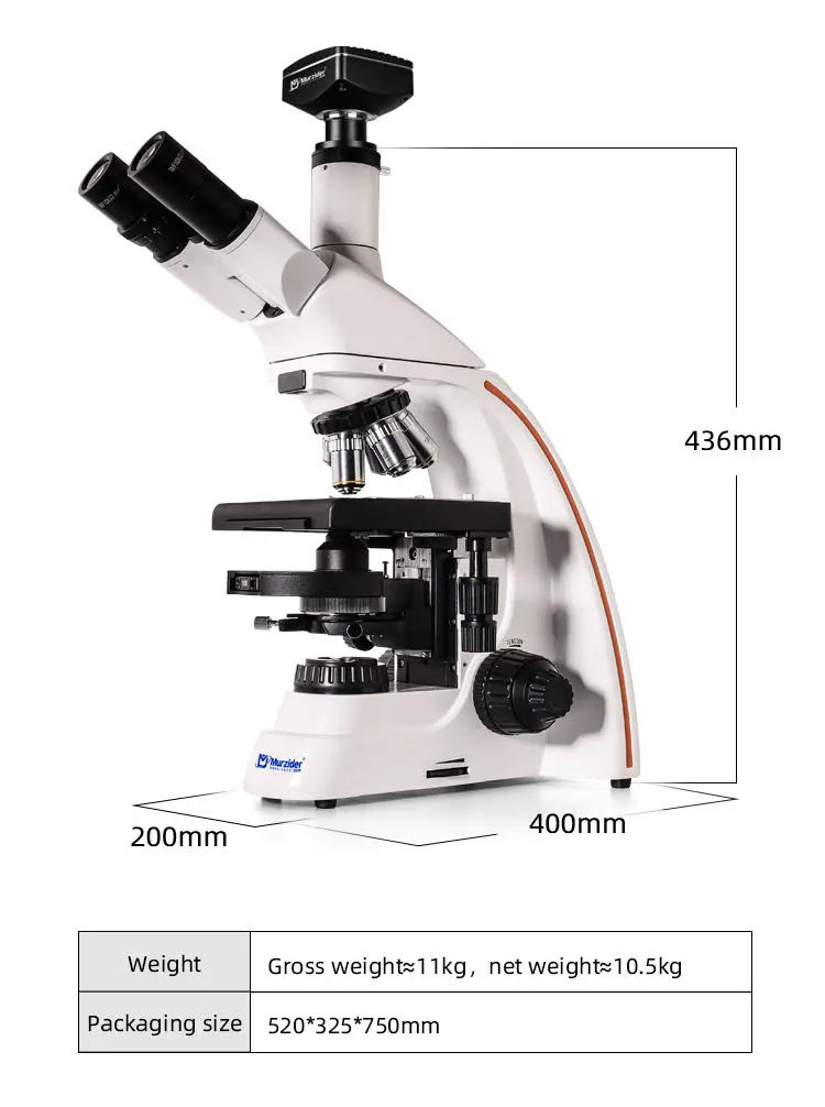 MSD3232 biological phase microscope dimensions