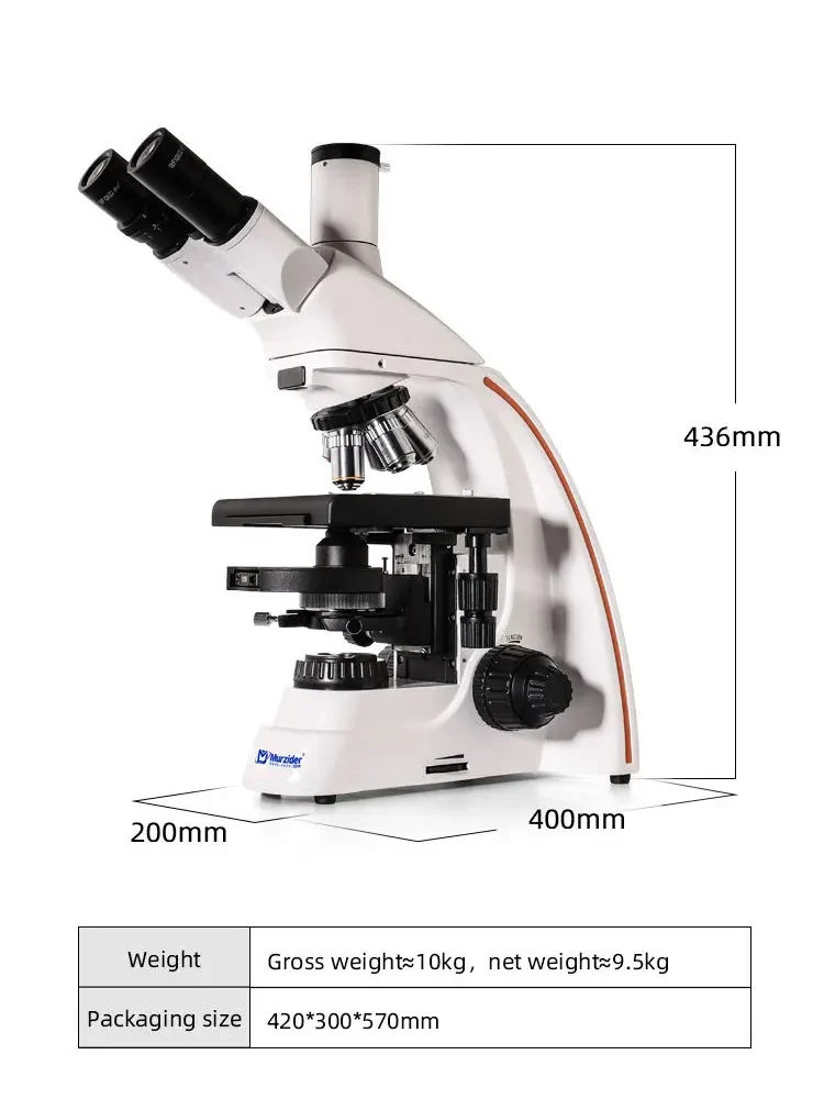 MSD3232 biological phase microscope dimensions