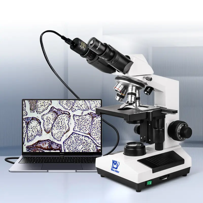 MSD4200 medical microscope imaging result