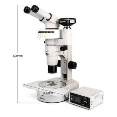 Dimensions of MSD516-600D fluorescence stereo microscope