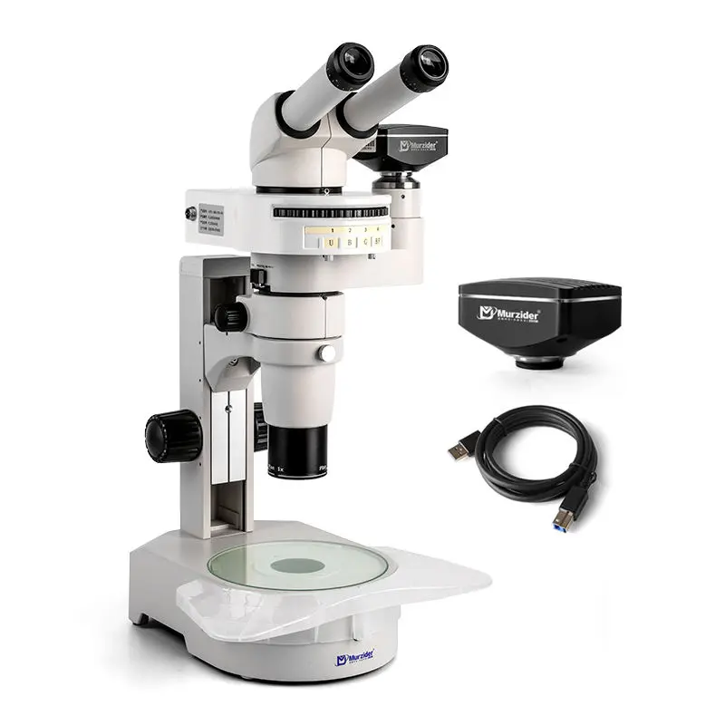 MSD516-830 UBG fluorescence stereo microscope with 830W camera