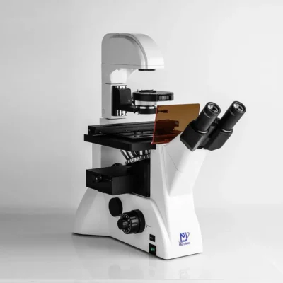 msd530dt-laboratory-fluorescence-microscope-display MSD530DT inverted fluorescence microscope laboratory display view