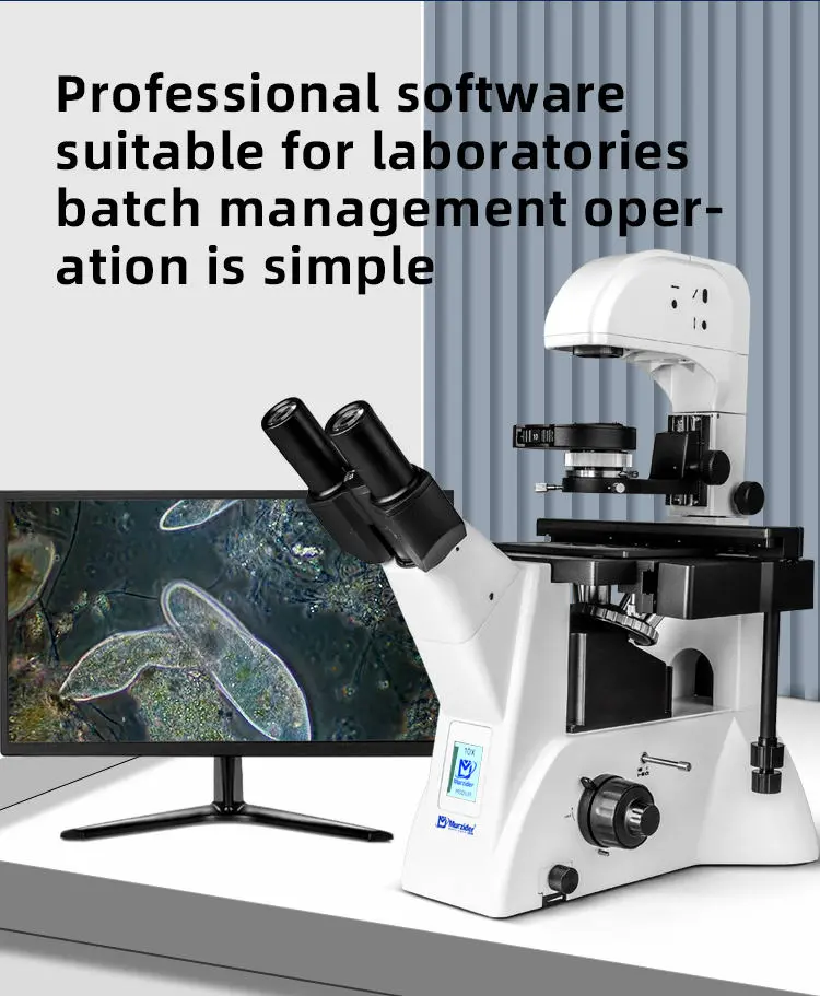 msd531-2000-inverted-biological-microscope-sample-view Biological sample image captured using MSD531-2000 inverted biological microscope