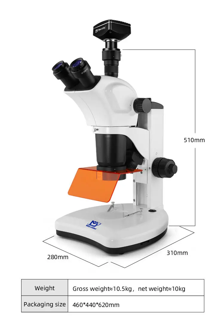 Dimensions of MSD540-2000 scientific stereo fluorescence microscope