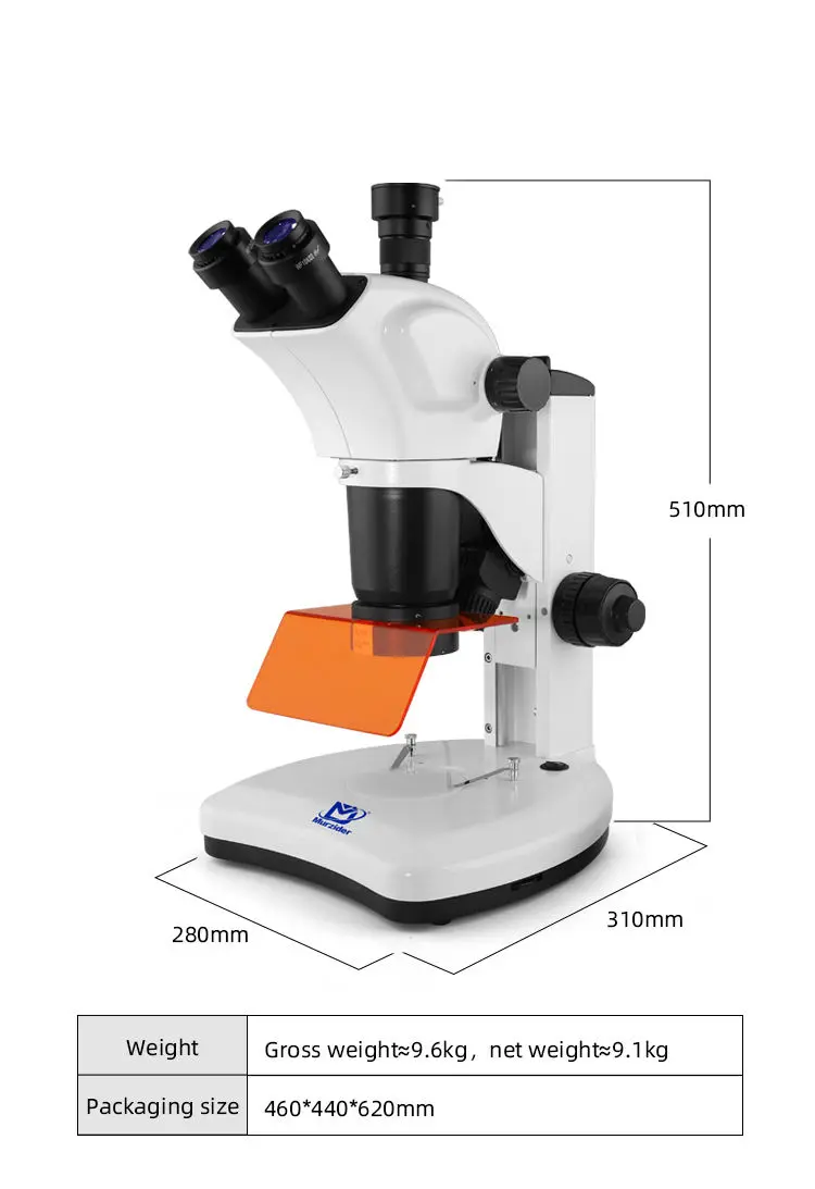 msd540-3-fluorescence-microscope-dimensions Dimensions of MSD540-3 fluorescence stereo microscope