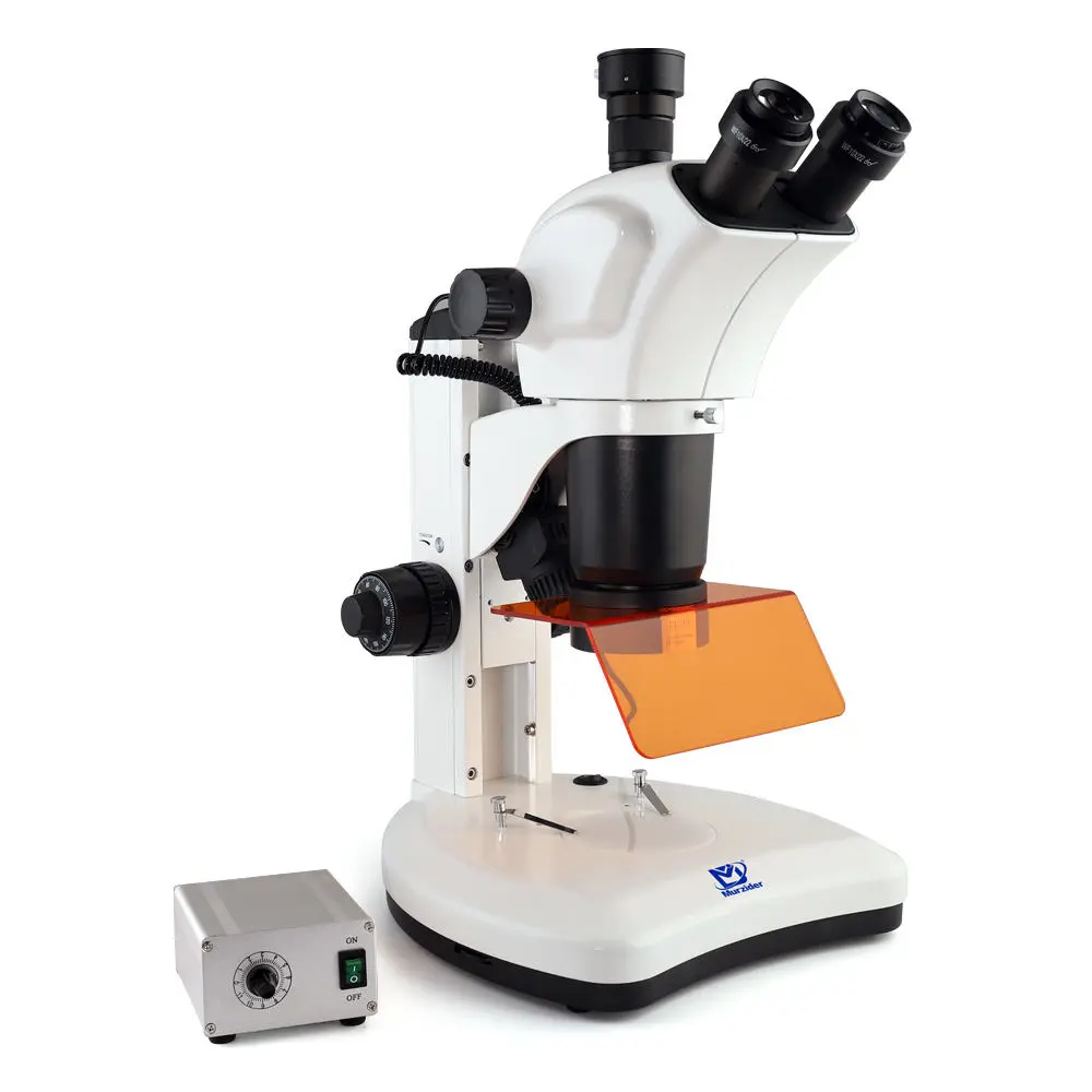 msd540-3-uv-fluorescence-microscope-rear Rear view of MSD540-3 fluorescence stereo microscope