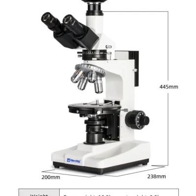 MSD6750-1000 polarizing microscope dimensions and structure diagram