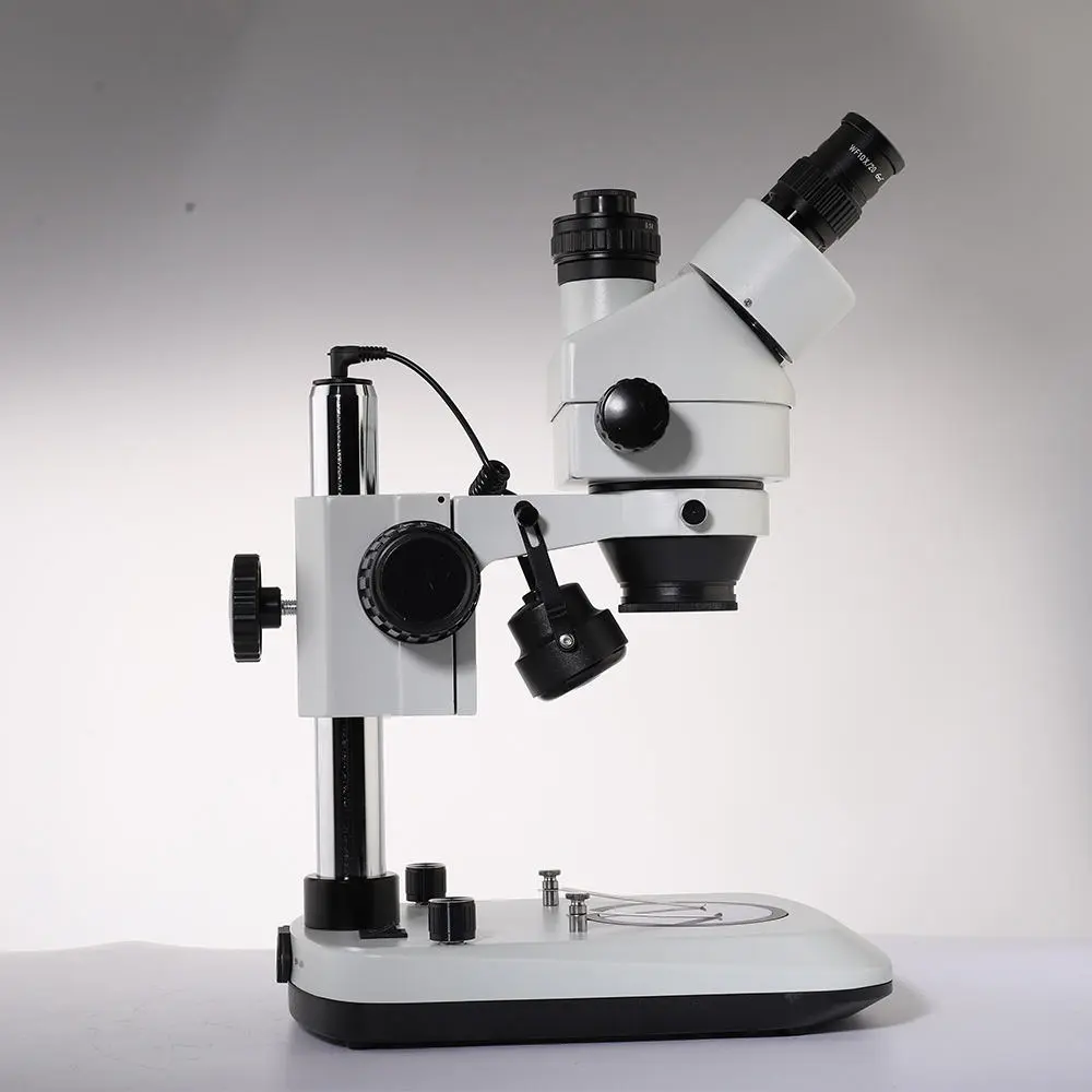 Murzider MSD202-B8-T stereo microscope showing dual light and trinocular setup