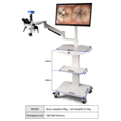 Dimensions of Murzider MSD208-4K-22YT mobile dental microscope with 4K imaging system and mobile stand
