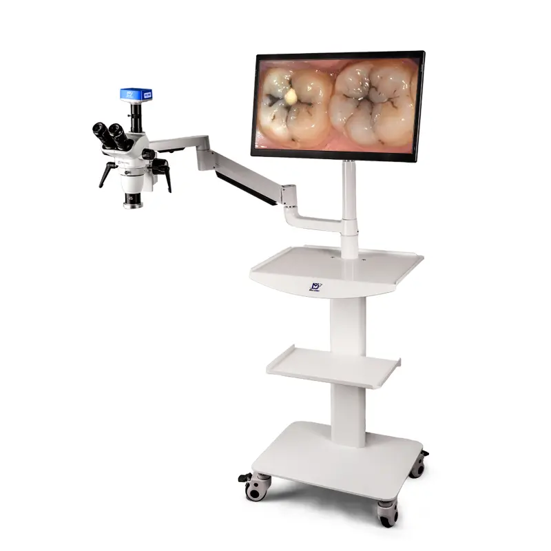 Murzider MSD208-4K-22YT mobile dental microscope with 4K camera and rolling stand for dentistry