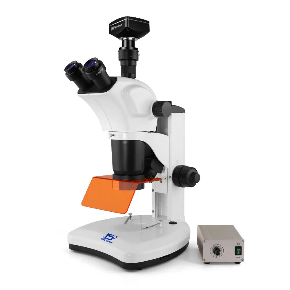 Murzider MSD540-2000 stereo fluorescence microscope with 20MP camera
