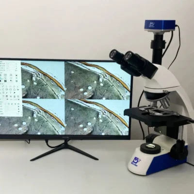 4K microscope camera imaging performance for detailed specimen observation