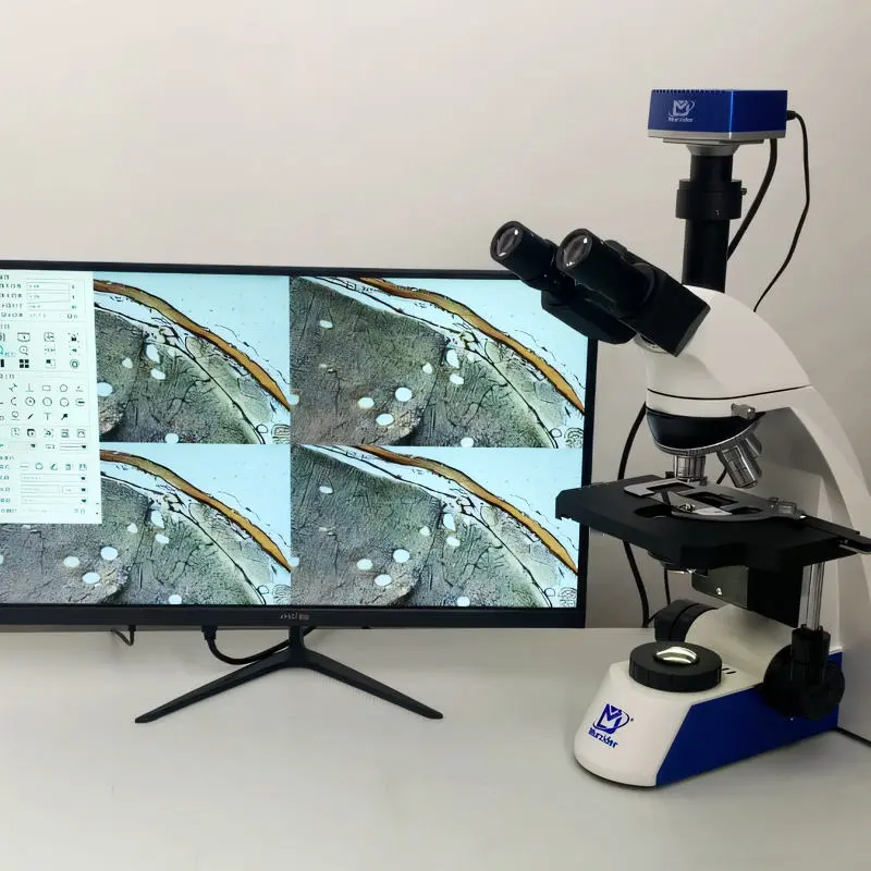 4K microscope camera imaging performance for detailed specimen observation