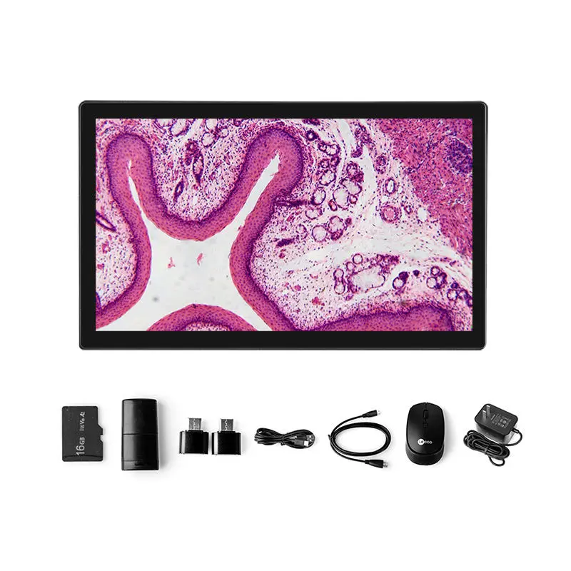 11.6-inch microscope display screen front view for real-time imaging display
